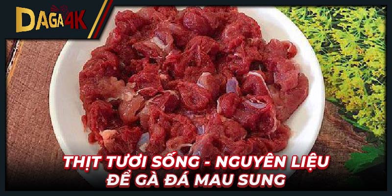 Thịt tươi sống - Nguyên liệu để gà đá mau sung