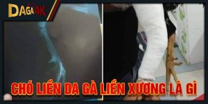 chó liền da gà liền xương là gì