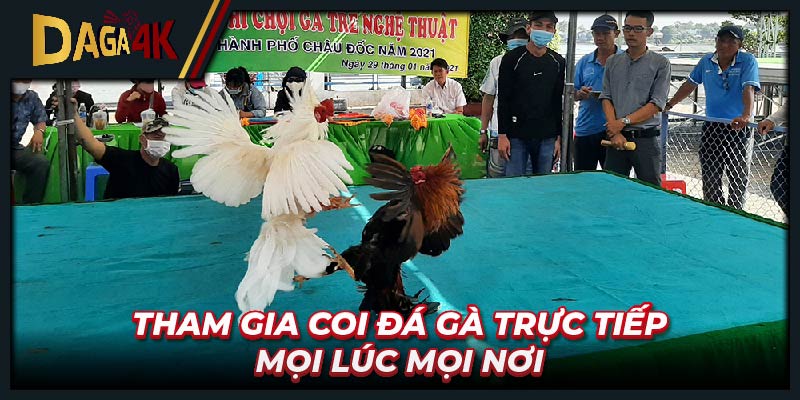 Tham gia coi đá gà trực tiếp mọi lúc mọi nơi