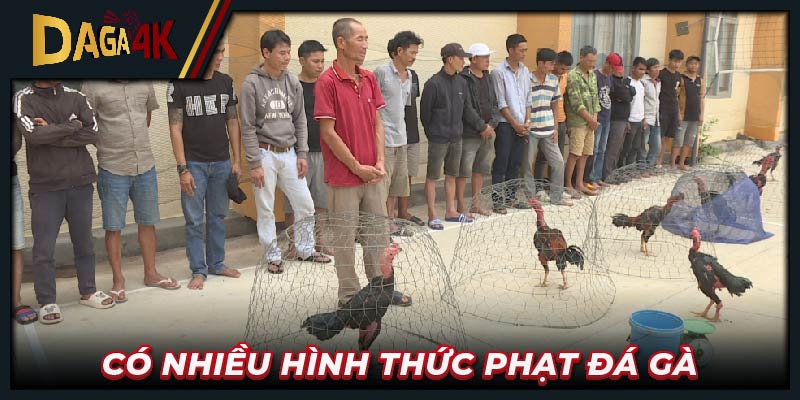 Có nhiều hình thức phạt đá gà