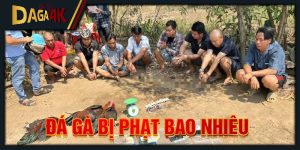 đá gà bị phạt bao nhiêu