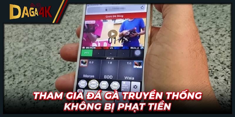 Tham gia đá gà truyền thống không bị phạt tiền