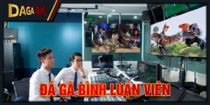 đá gà bình luận viên