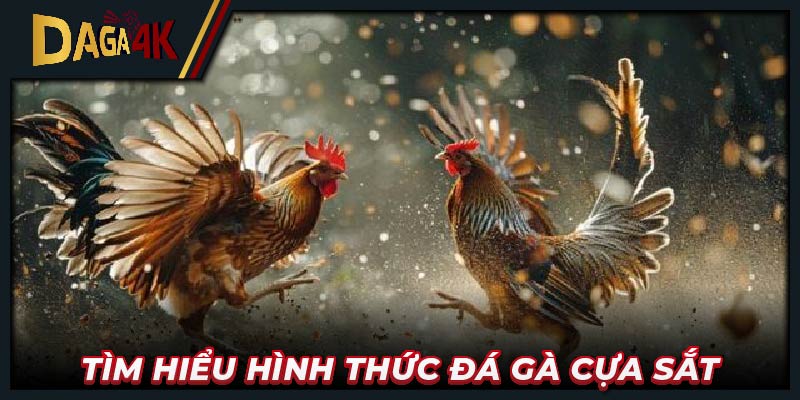 Tìm hiểu hình thức đá gà cựa sắt