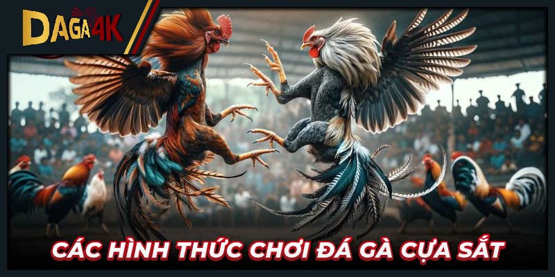 Các hình thức chơi đá gà cựa sắt