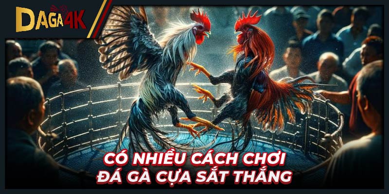 Có nhiều cách chơi đá gà cựa sắt thắng