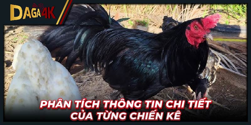 Phân tích thông tin chi tiết của từng chiến kê