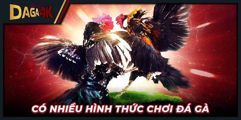 Có nhiều hình thức chơi đá gà