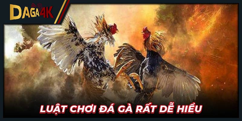 Luật chơi đá gà rất dễ hiểu