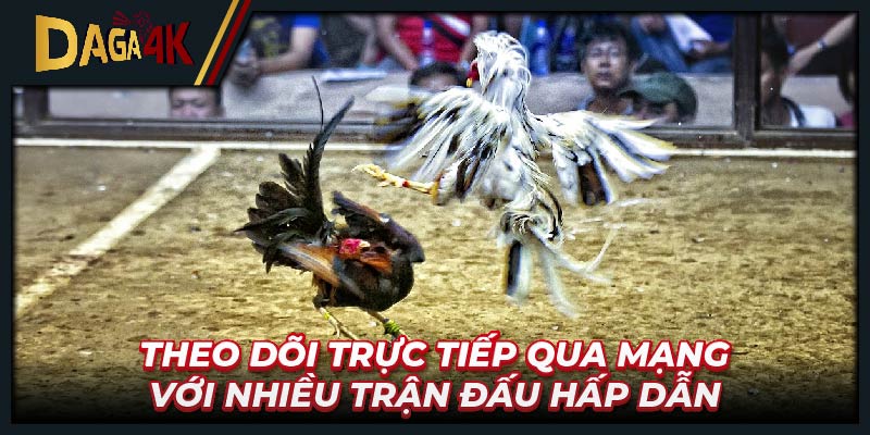 Theo dõi trực tiếp qua mạng với nhiều trận đấu hấp dẫn