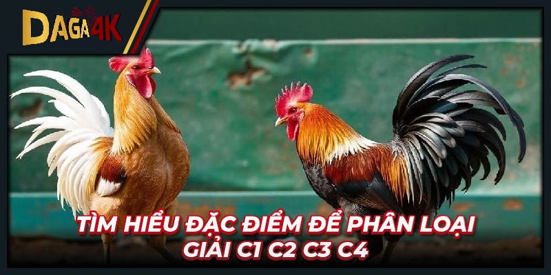 Tìm hiểu đặc điểm để phân loại giải C1 C2 C3 C4