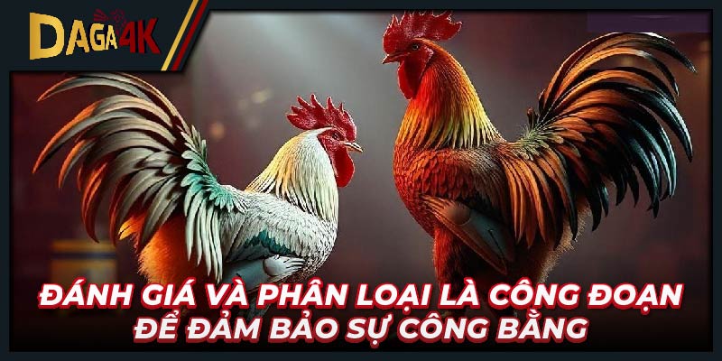 Đánh giá và phân loại là công đoạn để đảm bảo sự công bằng