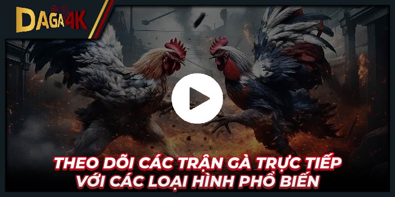 Theo dõi các trận gà trực tiếp với các loại hình phổ biến