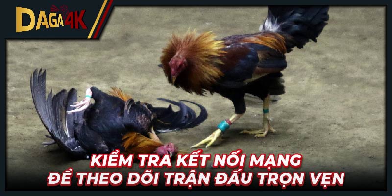 Kiểm tra kết nối mạng để theo dõi trận đấu trọn vẹn