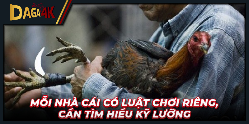 Mỗi nhà cái có luật chơi riêng, cần tìm hiểu kỹ lưỡng