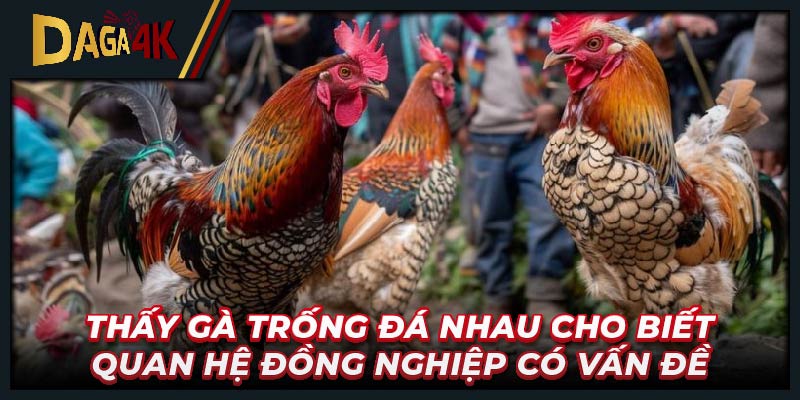 Thấy gà trống đá nhau cho biết quan hệ đồng nghiệp có vấn đề