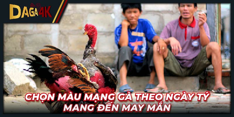 Chọn màu mạng gà theo ngày tý mang đến may mắn