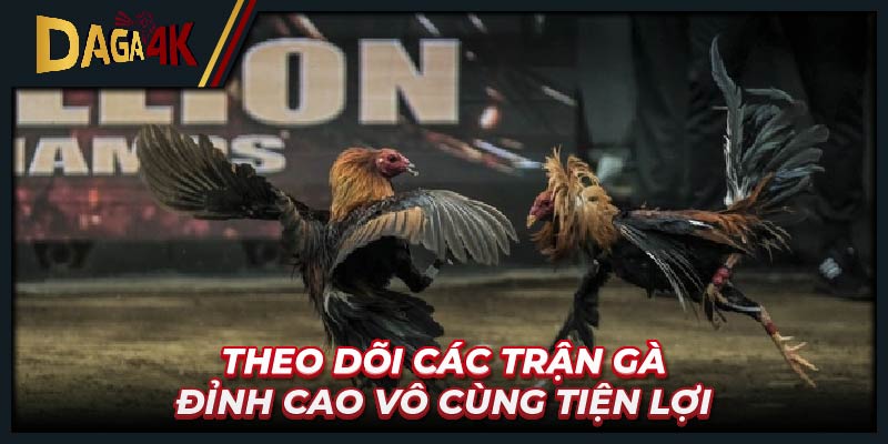 Theo dõi các trận gà đỉnh cao vô cùng tiện lợi