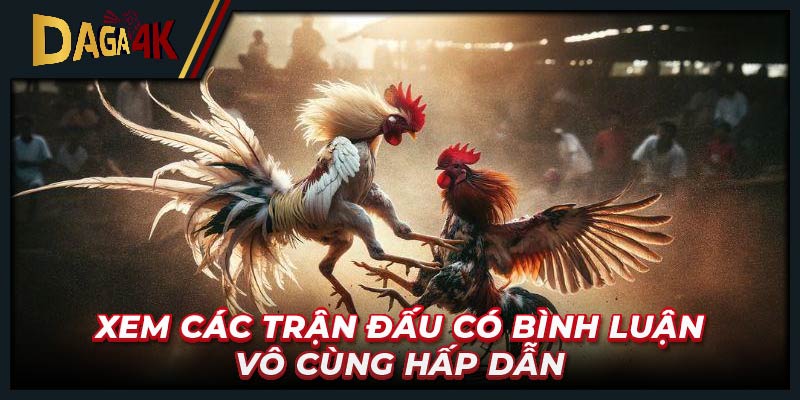 Theo dõi các trận đấu có bình luận vô cùng hấp dẫn