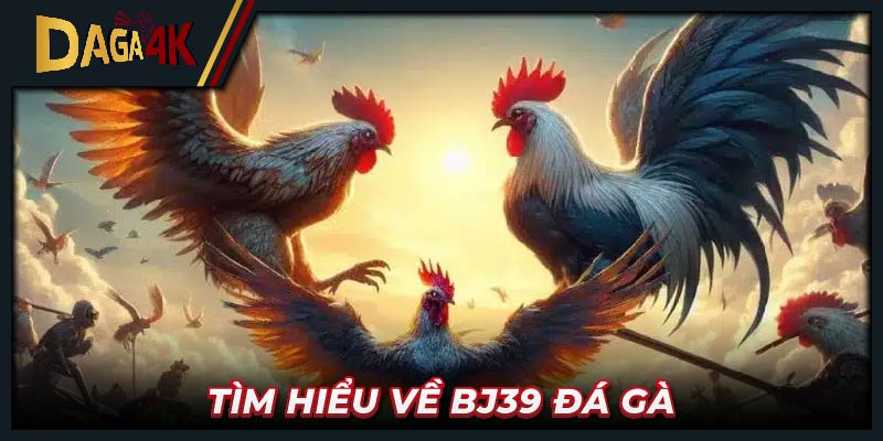 Tìm hiểu về BJ39 đá gà