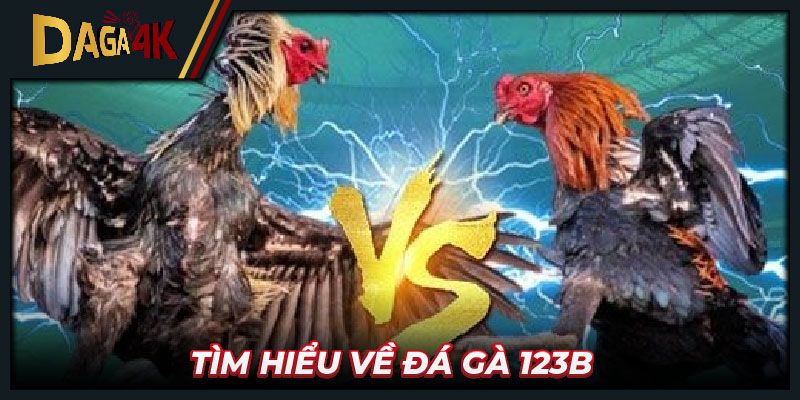 Tìm hiểu về Đá gà 123B