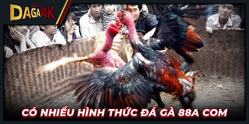 Có nhiều hình thức đá gà 88a com