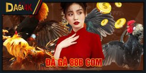 đá gà 88b com