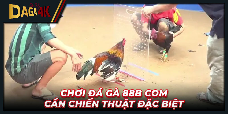 Chơi đá gà 88b com cần chiến thuật đặc biệt