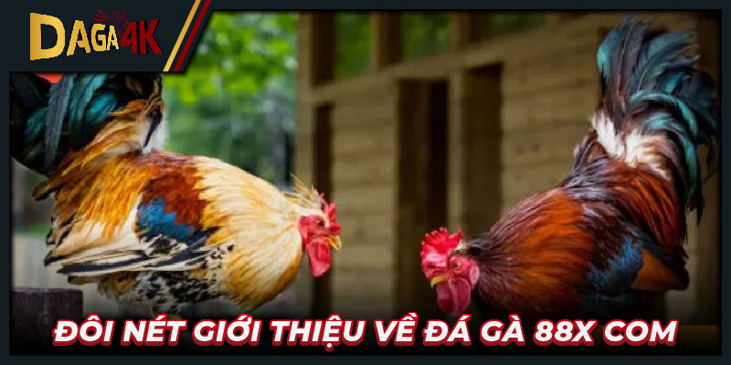 Đôi nét giới thiệu về Đá gà 88x com