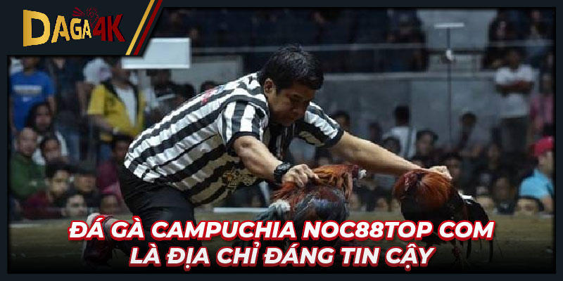 Đá gà Campuchia Noc88top com là địa chỉ đáng tin cậy