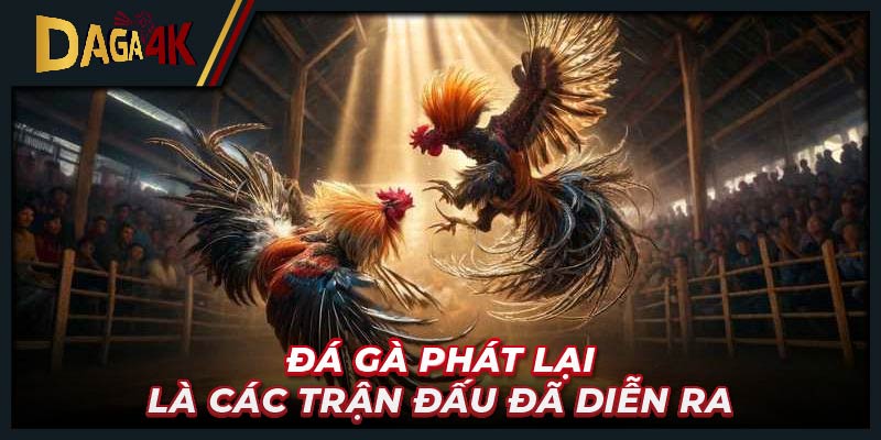 Đá gà phát lại là các trận đấu đã diễn ra