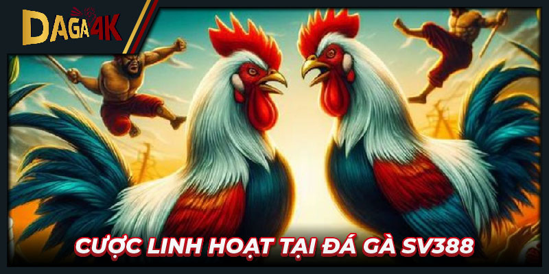 Cược linh hoạt tại đá gà Sv388