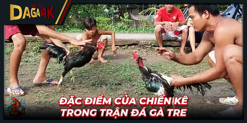 Đặc điểm của chiến kê trong trận đá gà tre