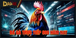 đá gà trực tiếp 999 hôm nay