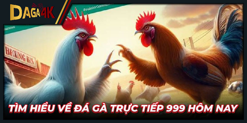 Tìm hiểu về Đá gà trực tiếp 999 hôm nay