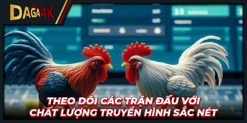 Theo dõi các trận đấu với chất lượng truyền hình sắc nét