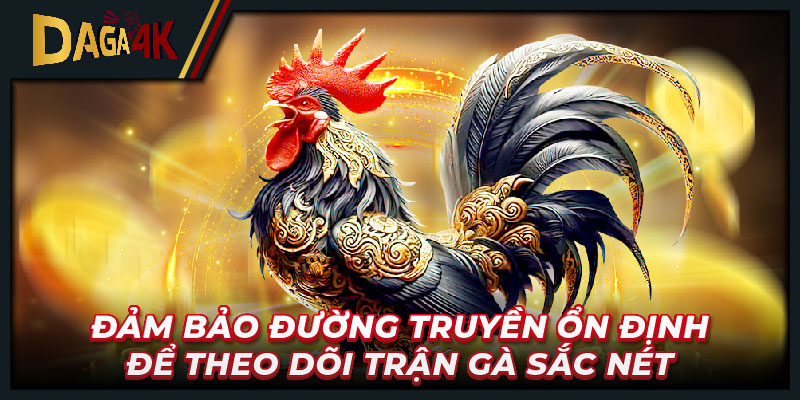 Đảm bảo đường truyền ổn định để theo dõi trận gà sắc nét