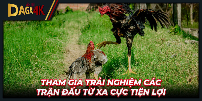 Tham gia trải nghiệm các trận đấu từ xa cực tiện lợi