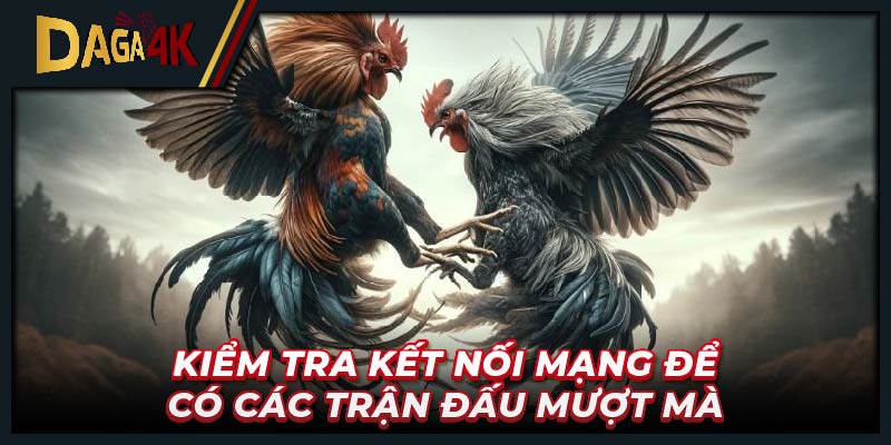 .Kiểm tra kết nối mạng để có các trận đấu mượt mà