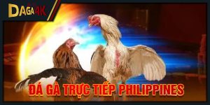 Đá gà trực tiếp Philippines