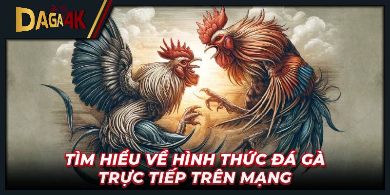 Tìm hiểu về hình thức đá gà trực tiếp trên mạng