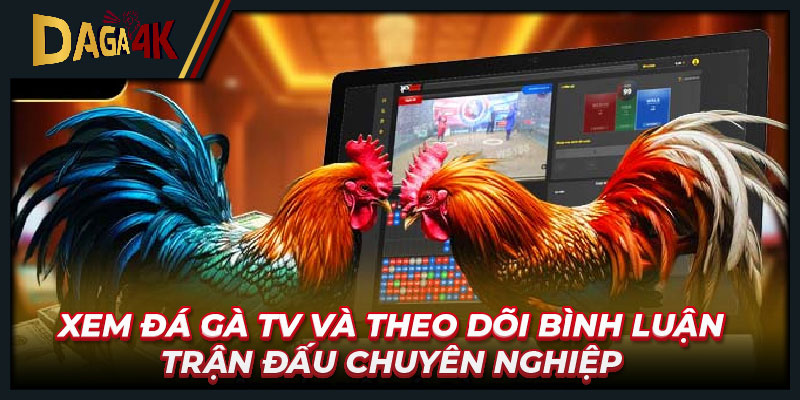 Xem đá gà TV và theo dõi bình luận trận đấu chuyên nghiệp