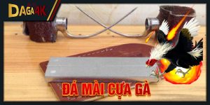 đá mài cựa gà