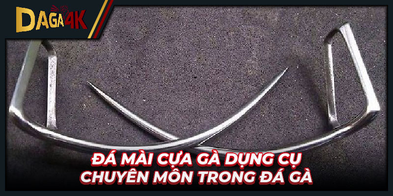 Đá mài cựa gà dụng cụ chuyên môn trong đá gà