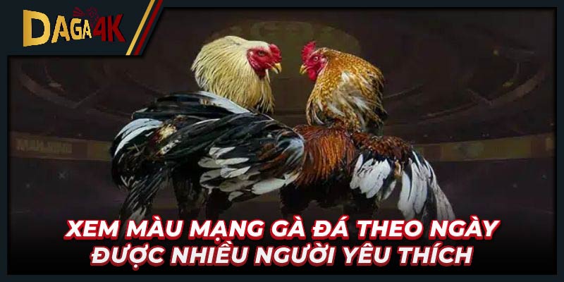 Xem màu mạng gà đá theo ngày được nhiều người yêu thích