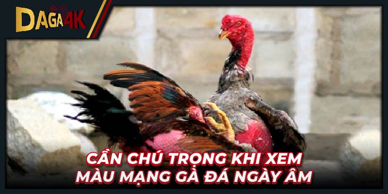 Cần chú trọng khi xem màu mạng gà đá ngày âm