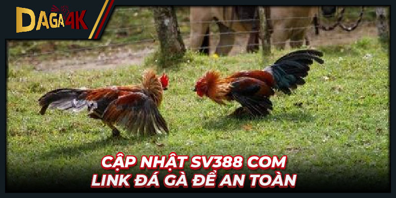 Cập nhật Sv388 com link đá gà để an toàn