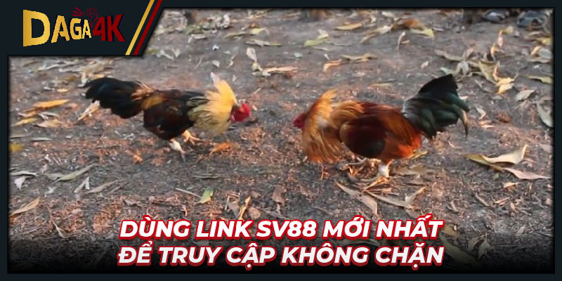 Dùng link Sv88 mới nhất để truy cập không chặn