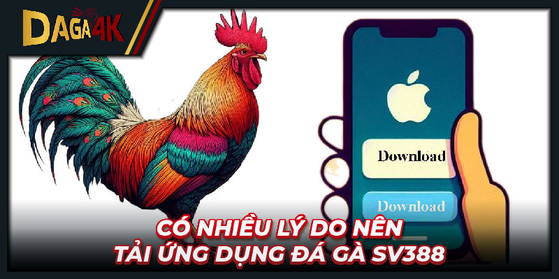 Có nhiều lý do nên tải ứng dụng đá gà SV388