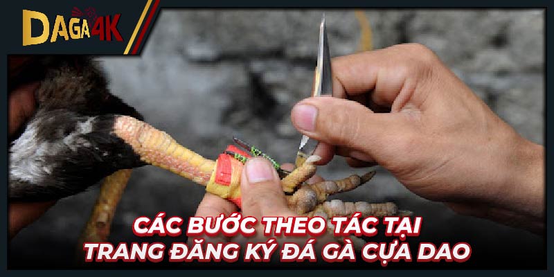 Tìm hiểu về trang đăng ký đá gà cựa dao trực tiếp qua mạng